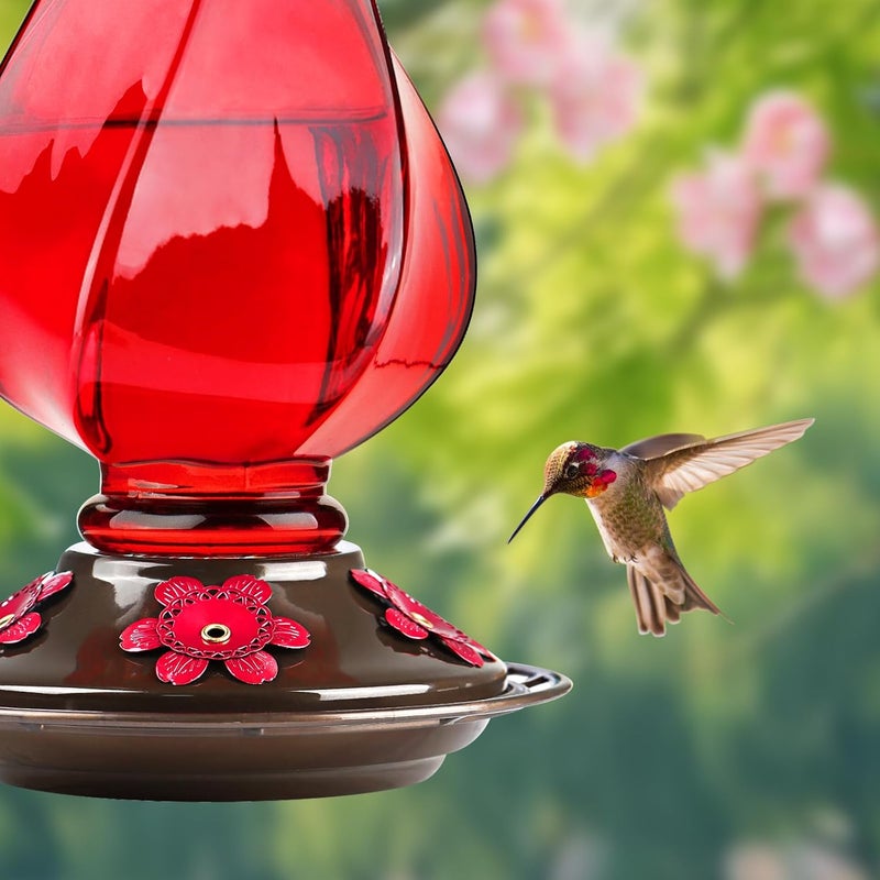 BOLITE Hummingbird Feeder, Glass Hummingbird Feeders for Outdoors Hanging, with Ant Moat and Five Feeding Ports, 22 Ounces, Leak Proof, Red, Birthday Gifts for Women Men, Gifts for Mom Dad - Image 3